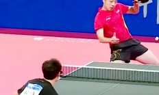 开云体育在线-瑞典队横扫法国队，许昕点燃赛场