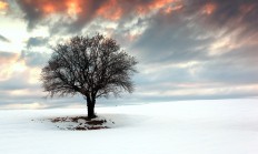 开云官方app入口-莱奥梦剧场封神！曼联正面击溃牙买加铁卫，葡萄牙天王接管英超争冠战