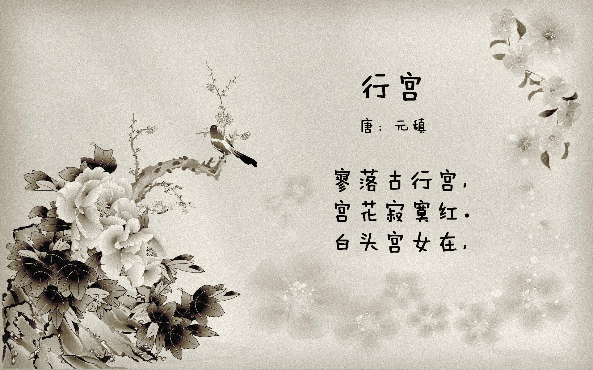 字母哥狂砍64分创生涯纪录，新疆男篮加时险胜浙江迎六连胜