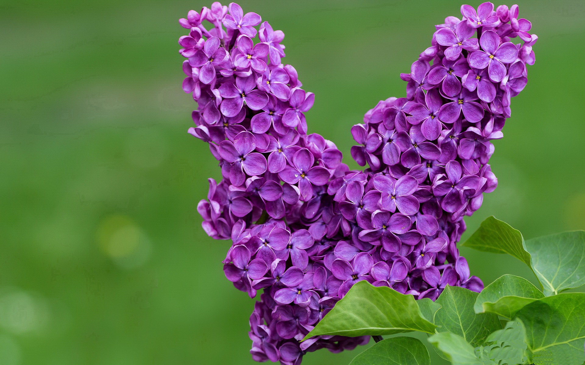 杜兰特末节狂飙19分完成自我救赎，浙江队险胜黄蜂锁定季后赛席位