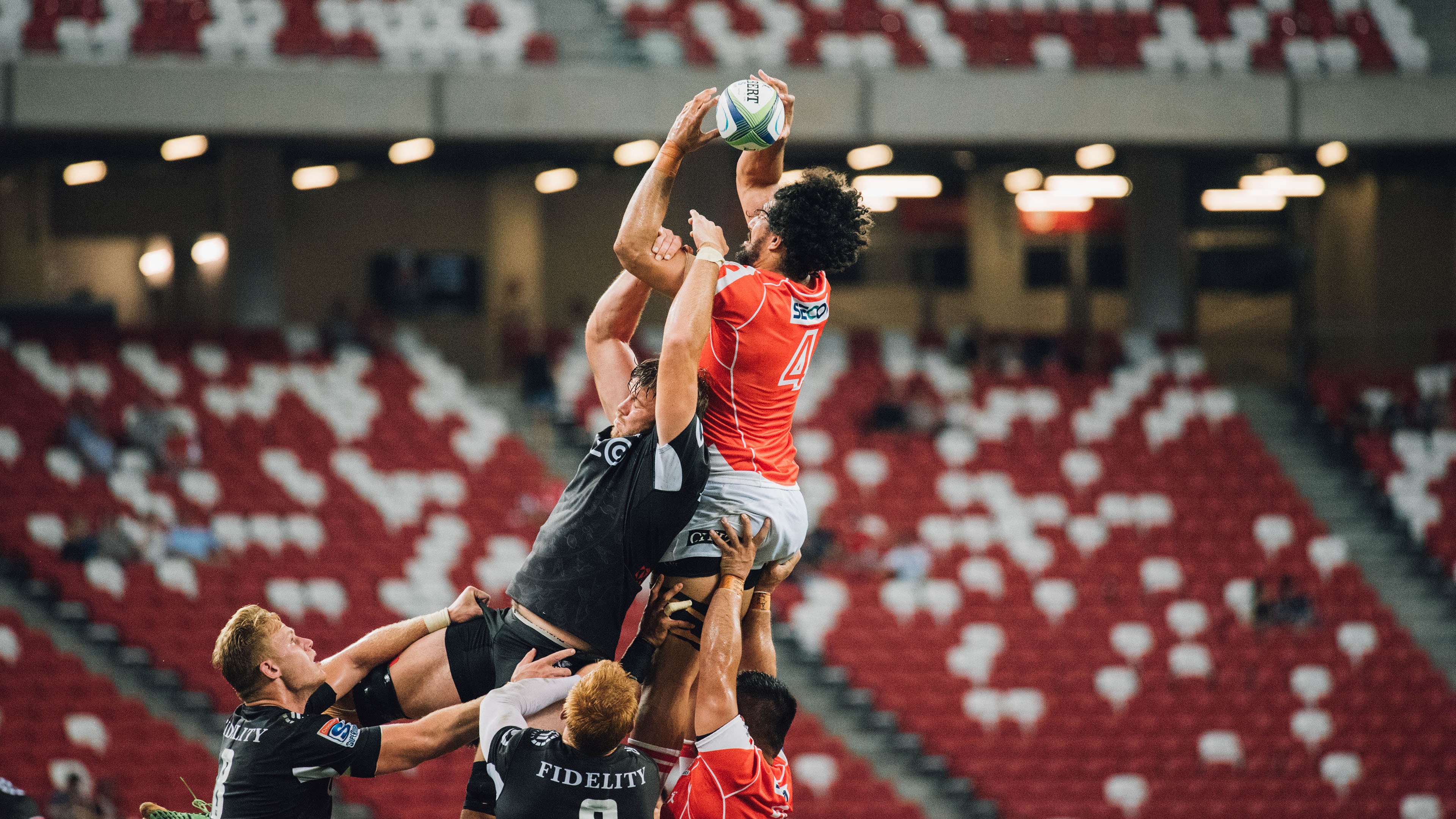 从骑士速胜到世界杯主宰,霍勒迪的双重时间线