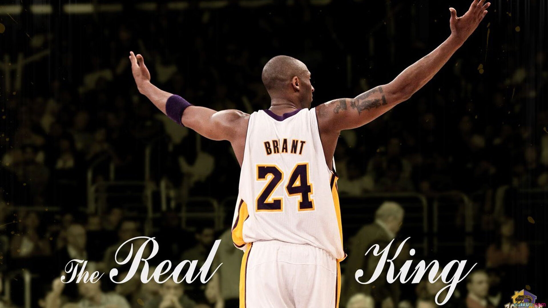 绝杀之羽，拉梅洛·鲍尔末节封神，鹈鹕险胜爵士诠释新星崛起